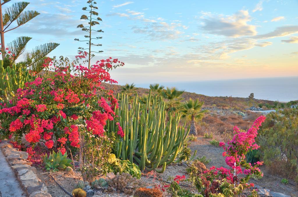 Guía de Isora Finca La Tosca מראה חיצוני תמונה